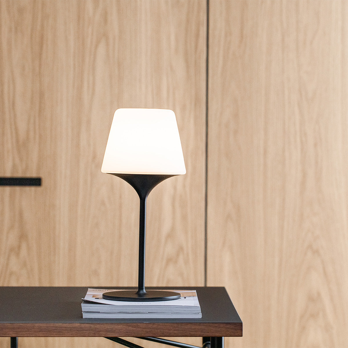 Ambience - Lamp Intelligent + Aalborg base