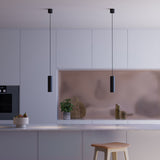 Expo Pendant