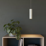 Expo Pendant