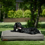 Dog bed