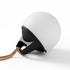 Light 250