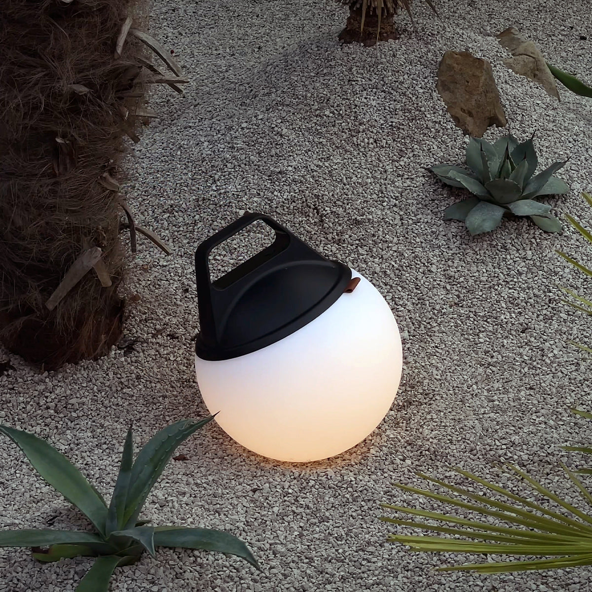 Light 250