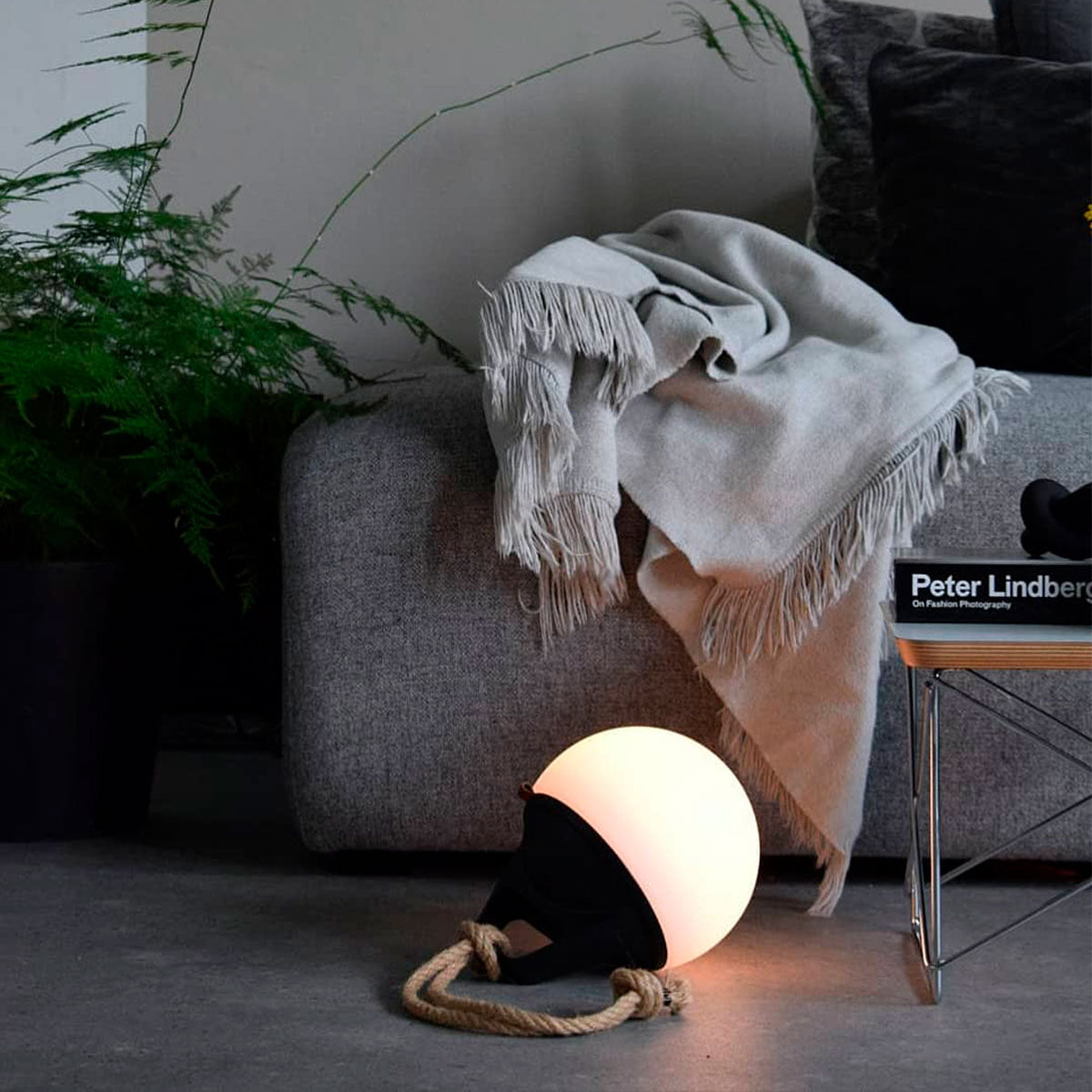 Light 150 (2 pack)