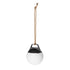Light 250 (2 pack)
