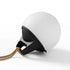 Light 250 (2 pack)