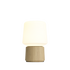 Ambience - Lamp Intelligent + Oslo base