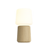 Ambience - Lamp Intelligent + Oslo base