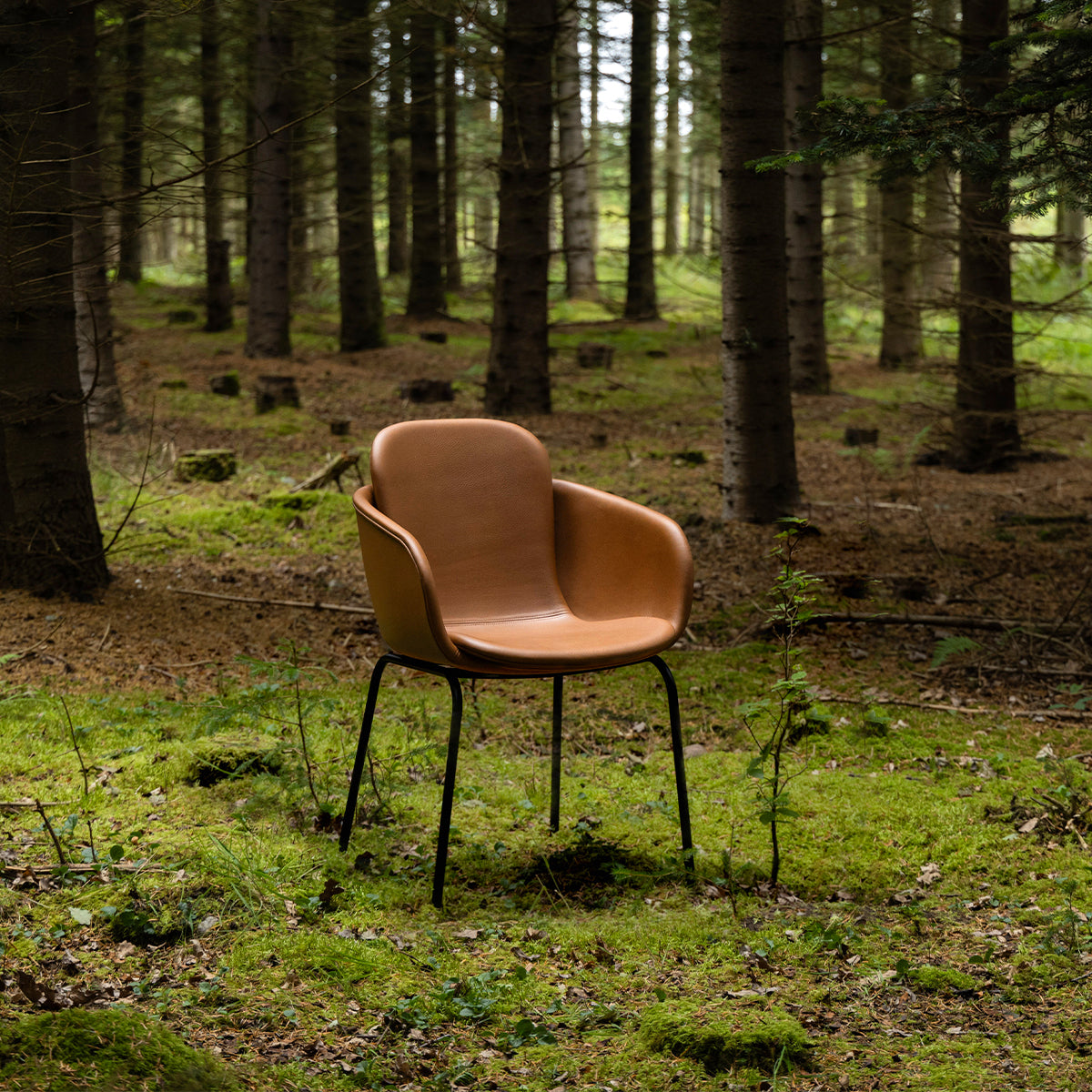 Chair no. One S2