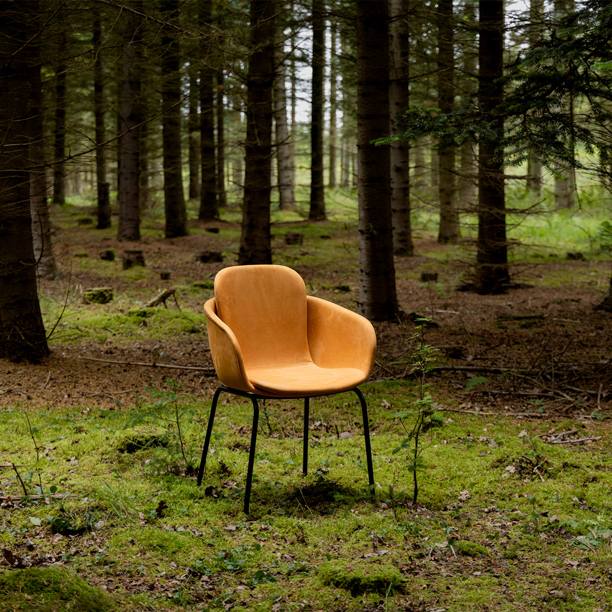 Chair no. One S2